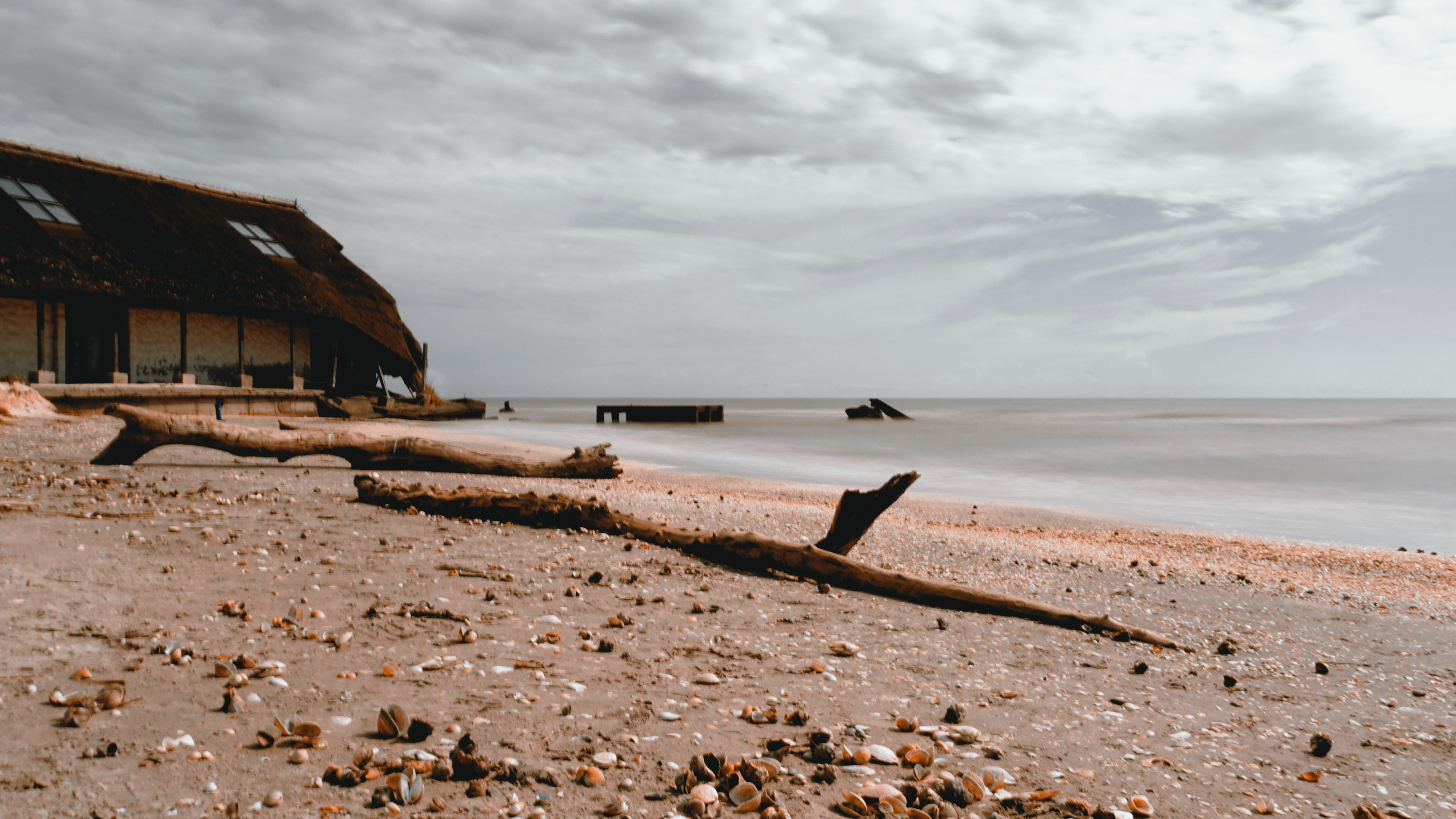 Fotografie din Delta Dunarii