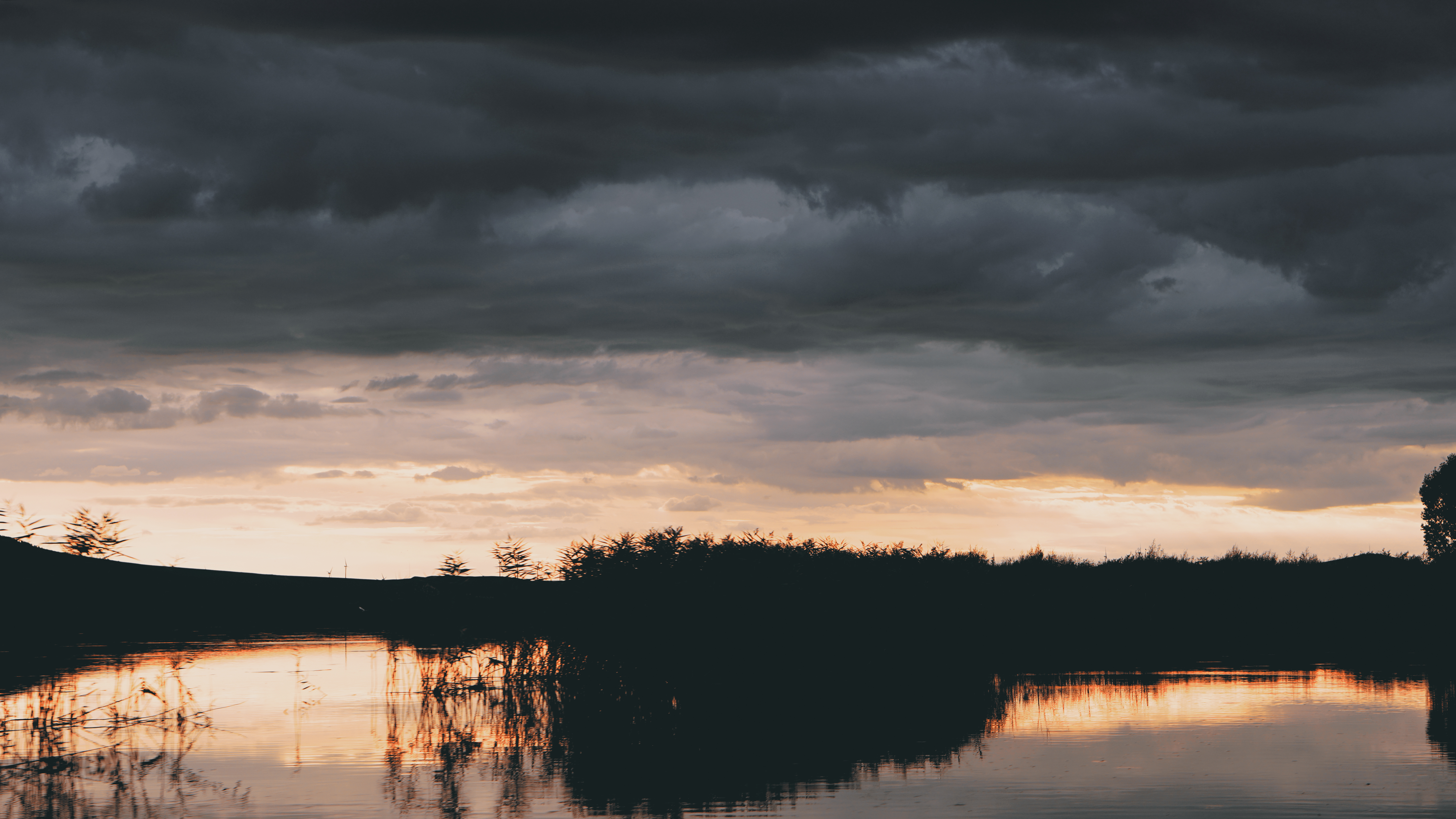 Fotografie din Delta Dunarii